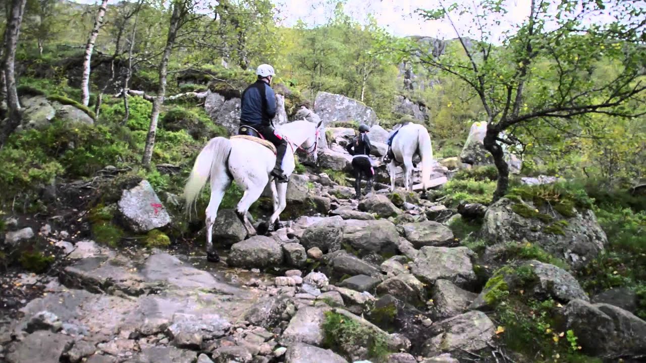 All Terrain in 
