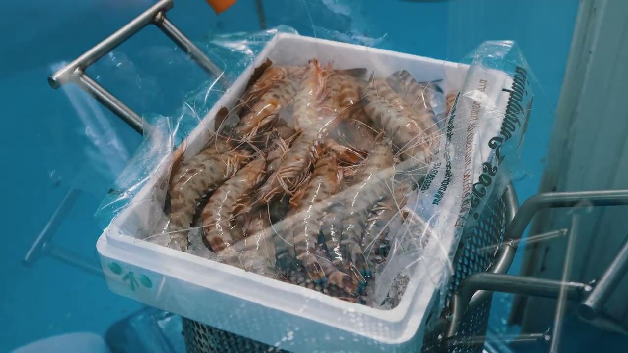 ¿Cómo cocer langostinos? Fácil y sencillo con Mariscos Guadalquivir.