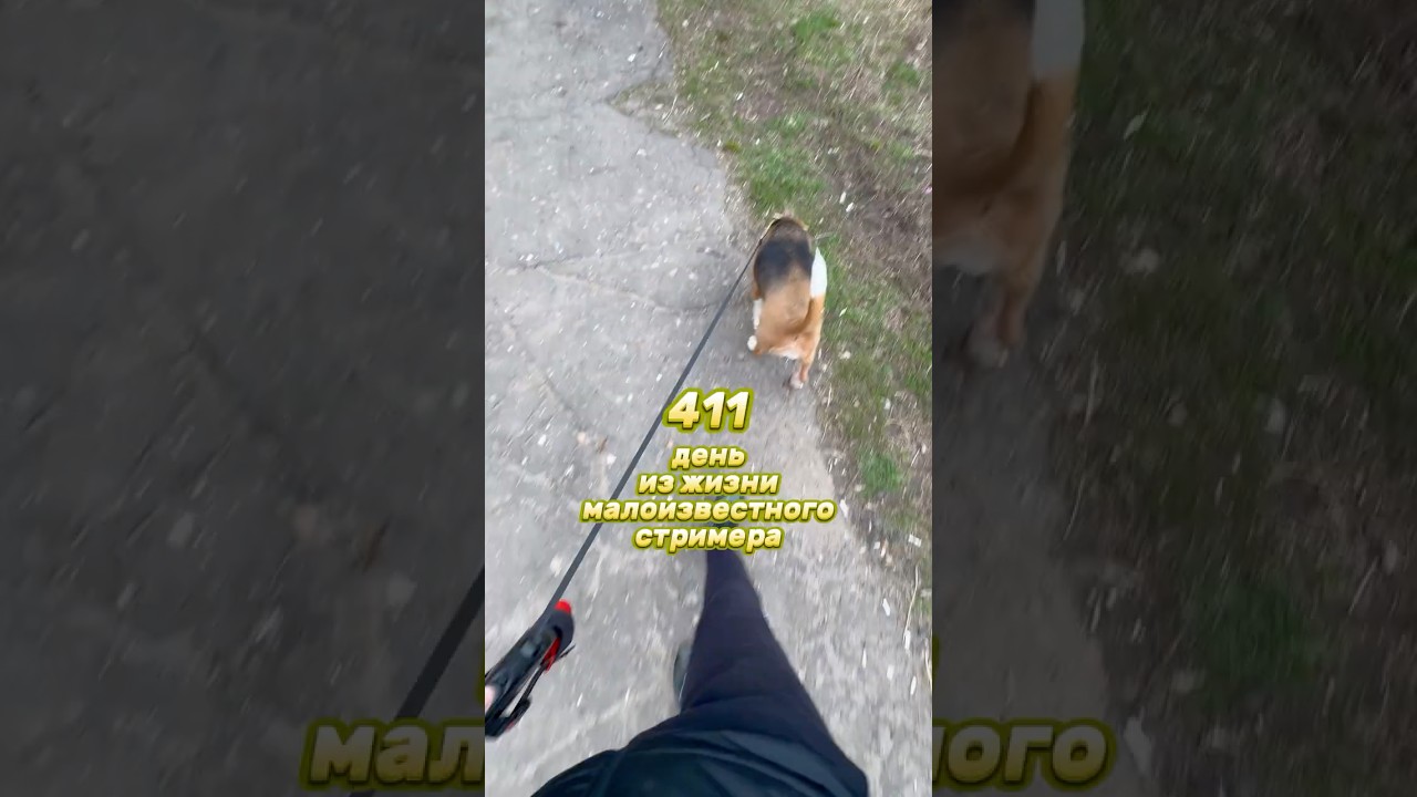 411й день из жизни малоизвестного стримера #влог #twitch #vlog #влог