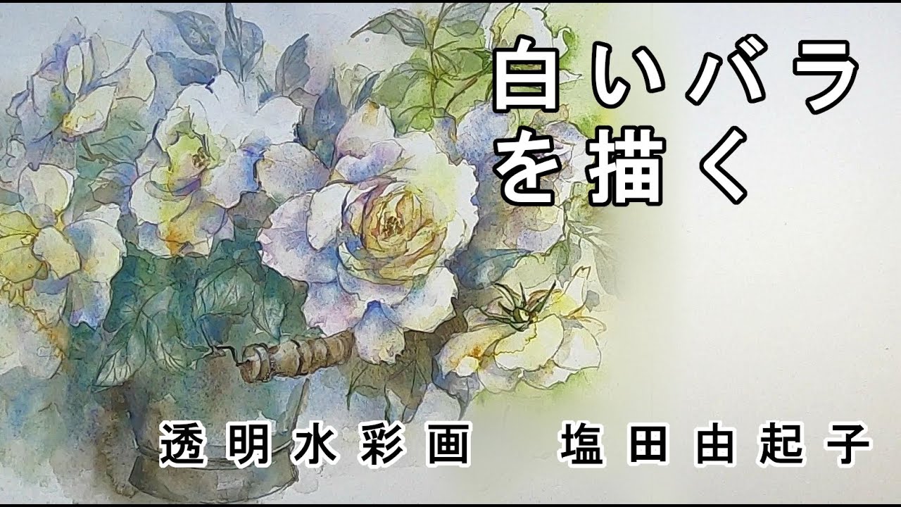 【透明水彩画】白いバラを描く