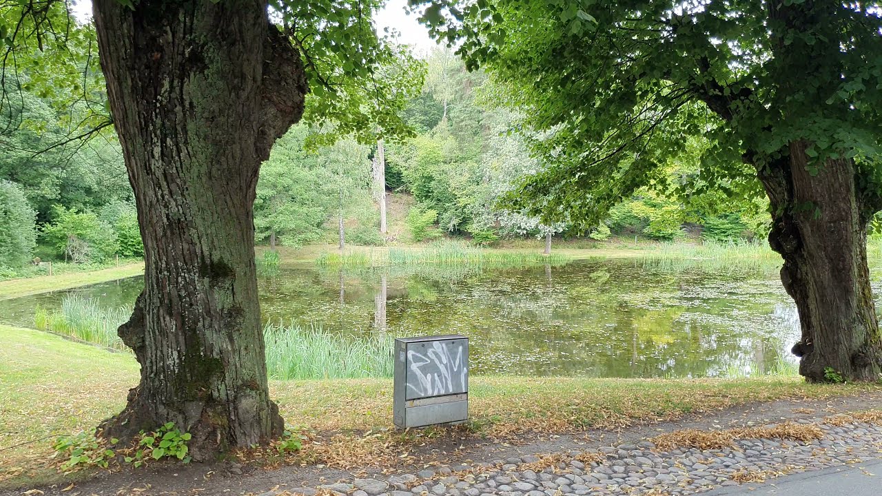 Sweden, Stockholm - Walk & TALK Ulriksdal Palace #173