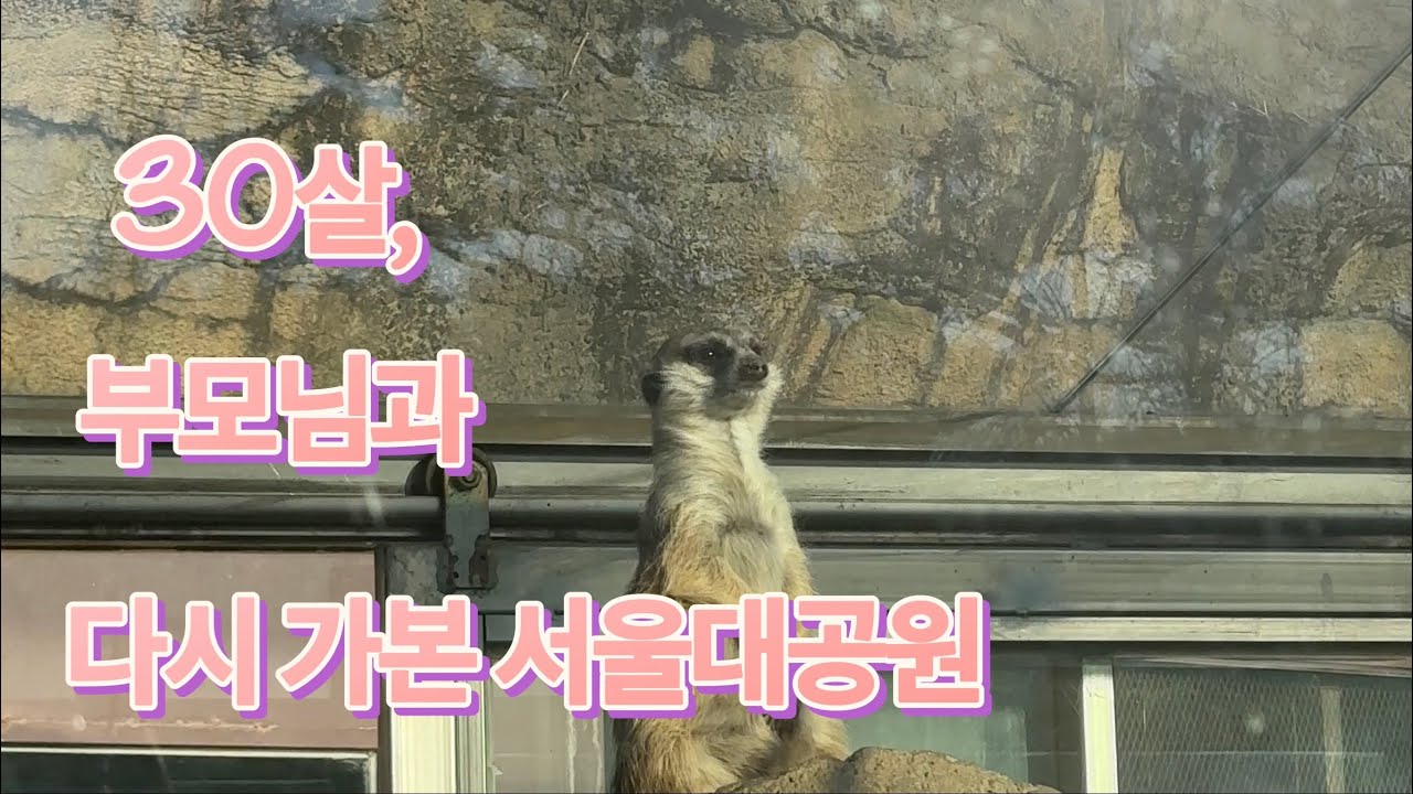 30살 직장인, 부모님 모시고 서울대공원 다녀왔습니다 (브이로그)