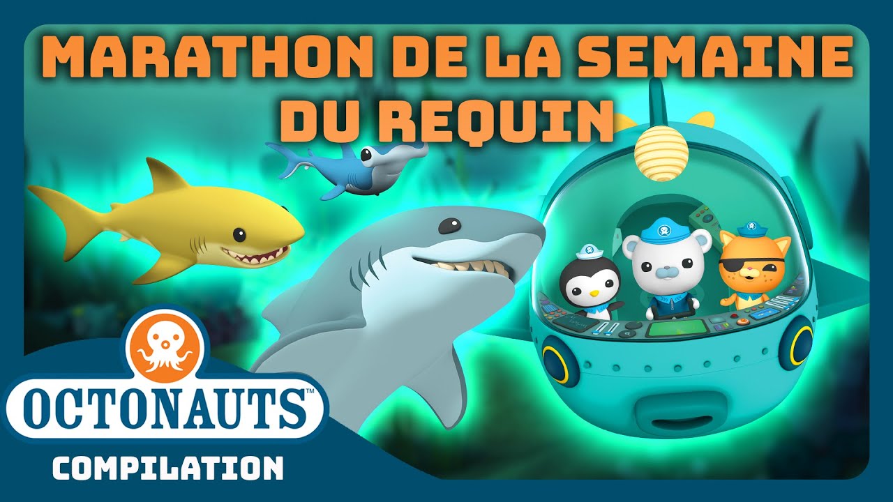 Octonauts - 🦈 MARATHON DE LA SEMAINE DU REQUIN ! 🤿 | Compilation | Dessins animés pour enfants