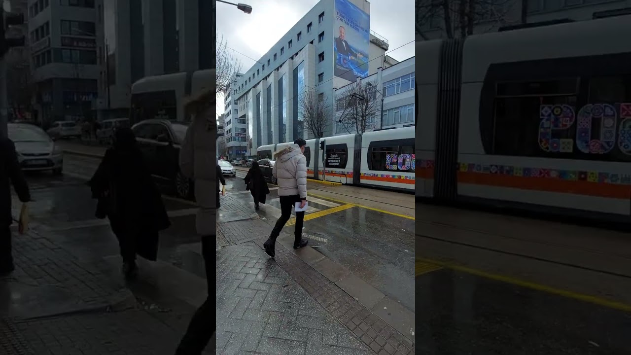 #Eskişehiri #soğukta #dolaşmak #birbaşka #🥶 keşfet #viral #my #cat #eskişehir #viralvideo #belgium 💙