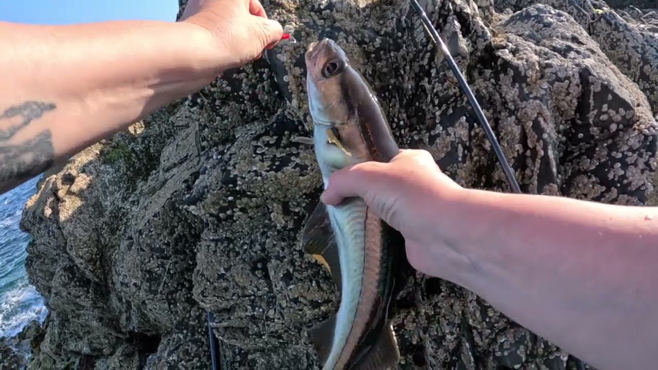 Isle of Whithorn Fishing Part 2