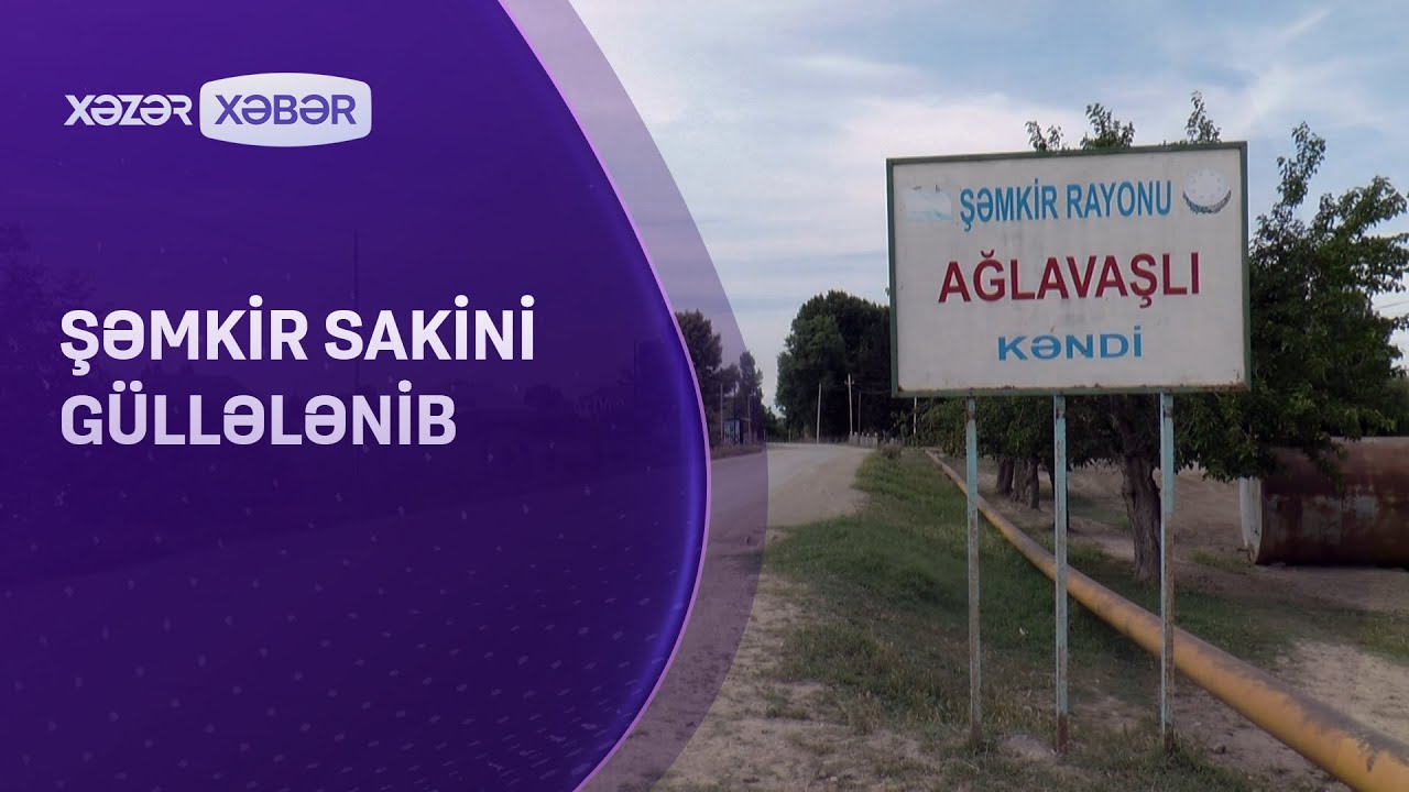 Şəmkir sakini güllələnib