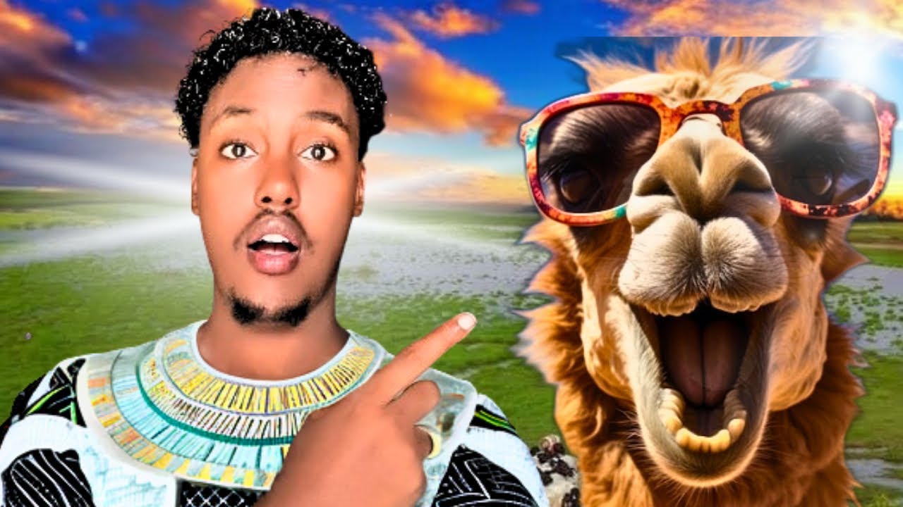 CAANO GEELA MAGALADA BOORAMA🐪 the camel milk in bor-ama #caano_geel