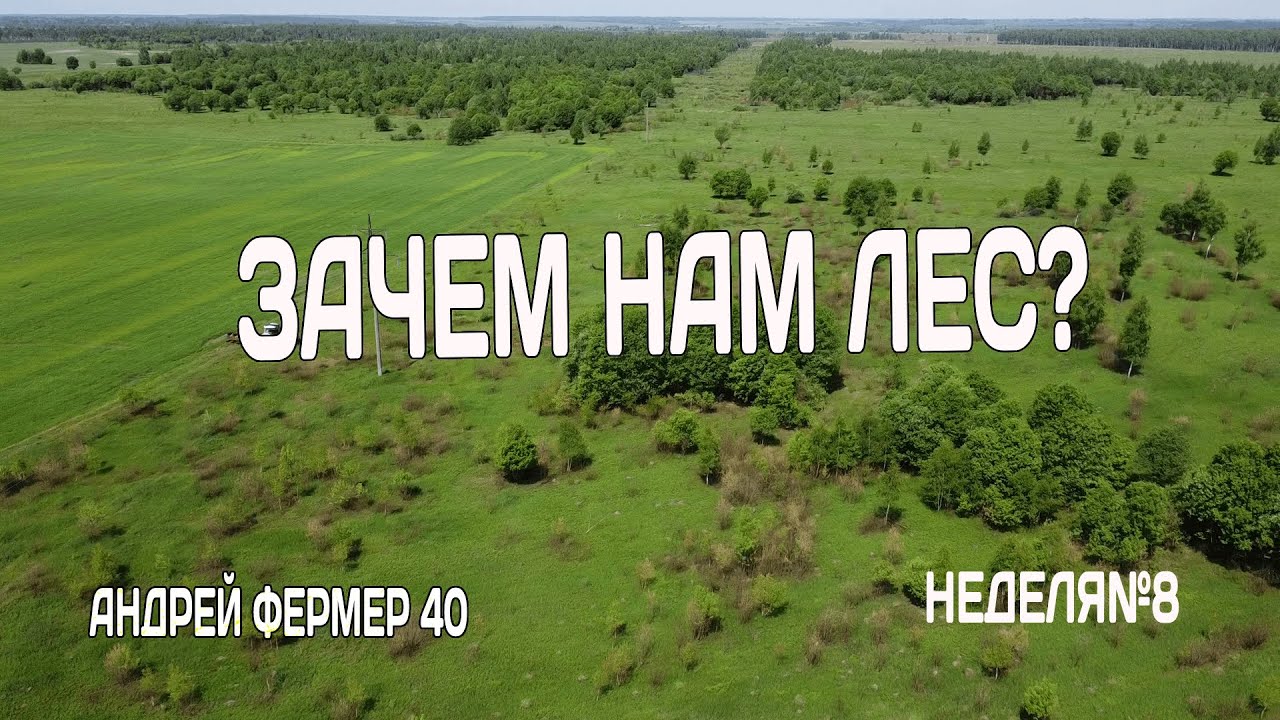 Взяли землю в аренду, отгружаем последний Картофель