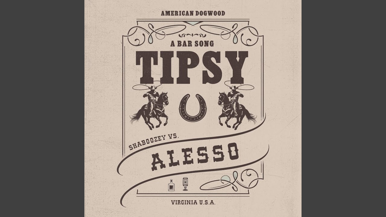 A Bar Song (Tipsy) (Remix)