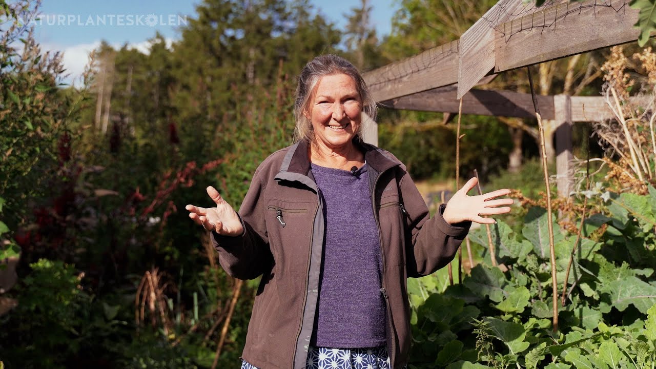 Afsnit 7 - Permakultur vs. økologi : Permakultur i haven med Aiah Noack (7 af 10)