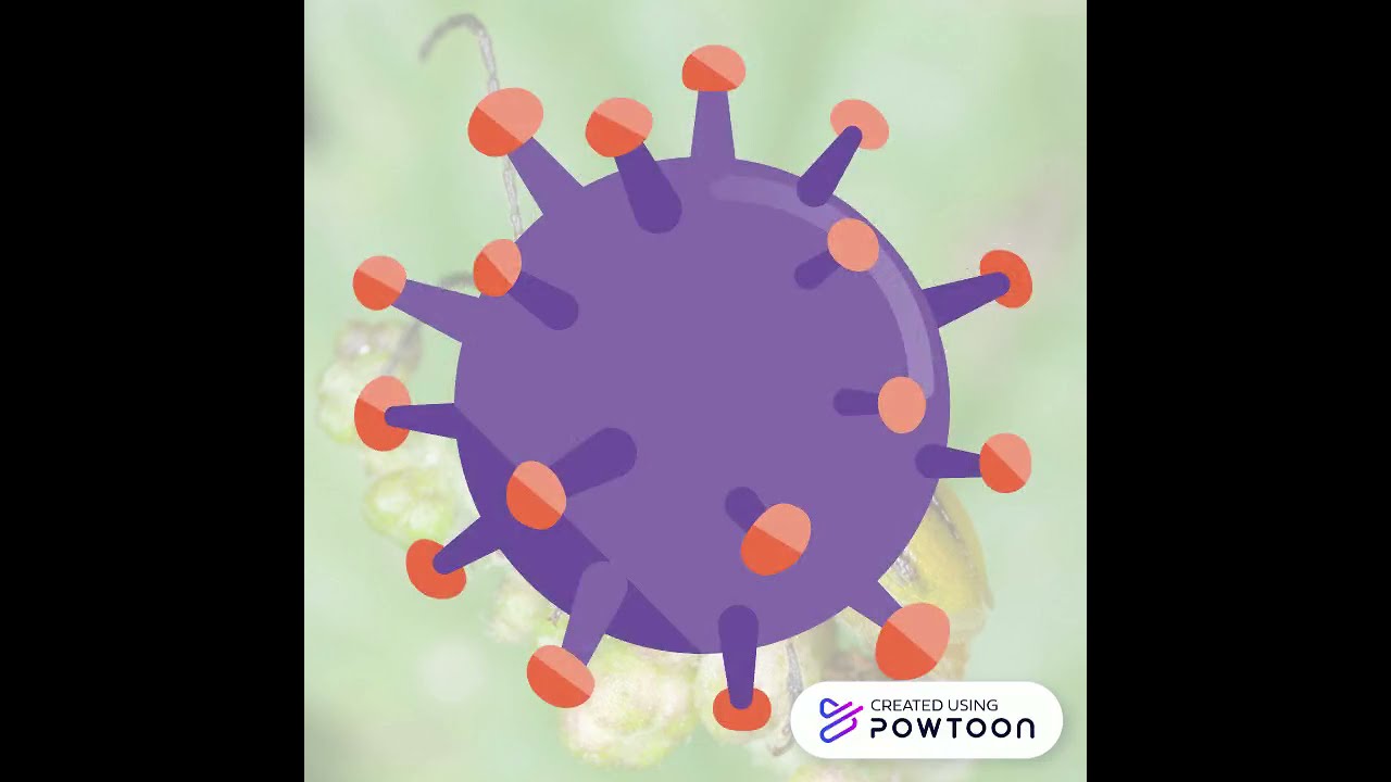 What is a 'pest'?