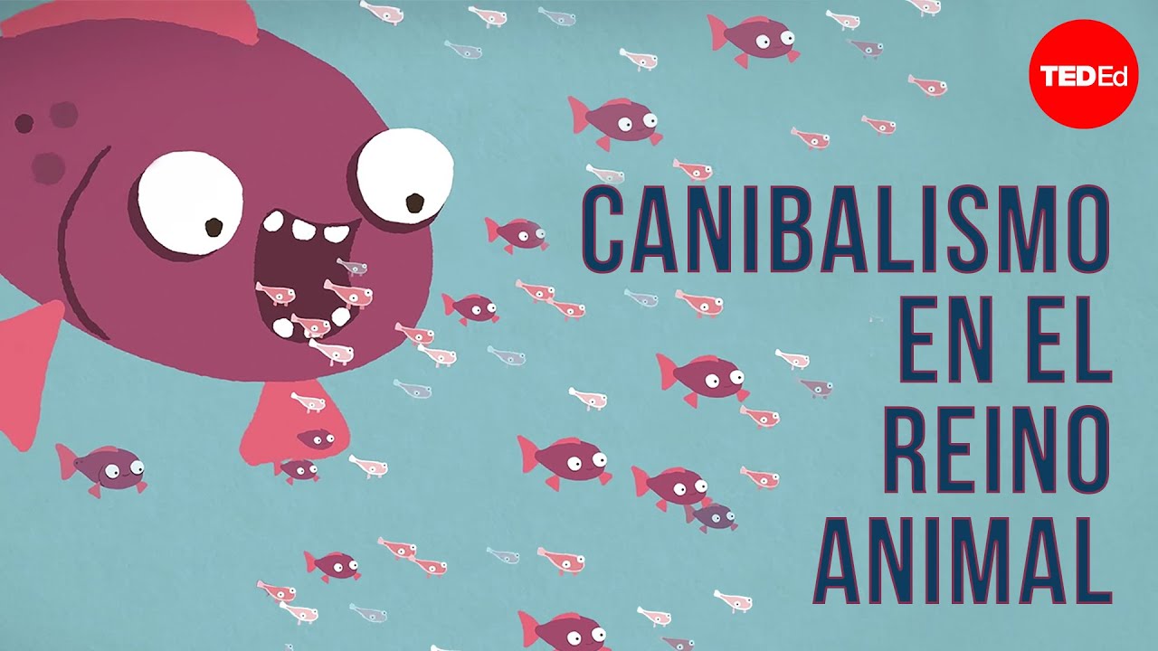 Canibalismo en el reino animal - Bill Schutt