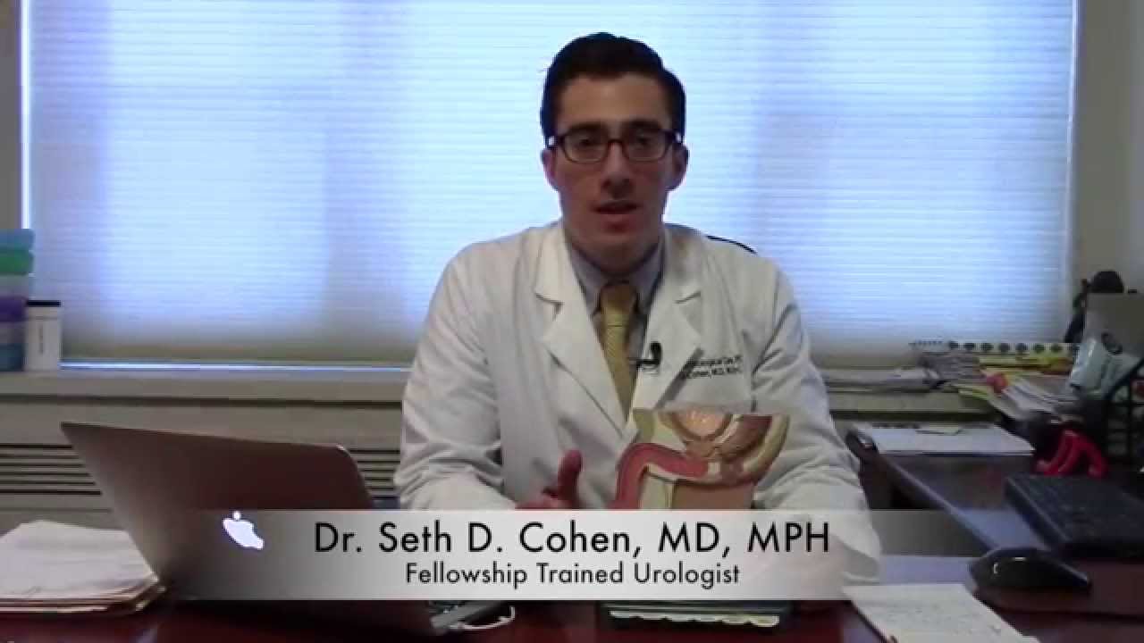 Erectile Dysfunction: Anatomy & Physiology