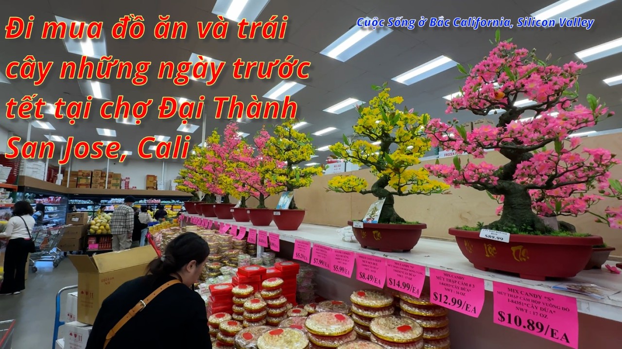 Đi mua đồ ăn và trái cây một ngày trước tết tại chợ Đại Thành San Jose, Cali; Dai Thanh super market