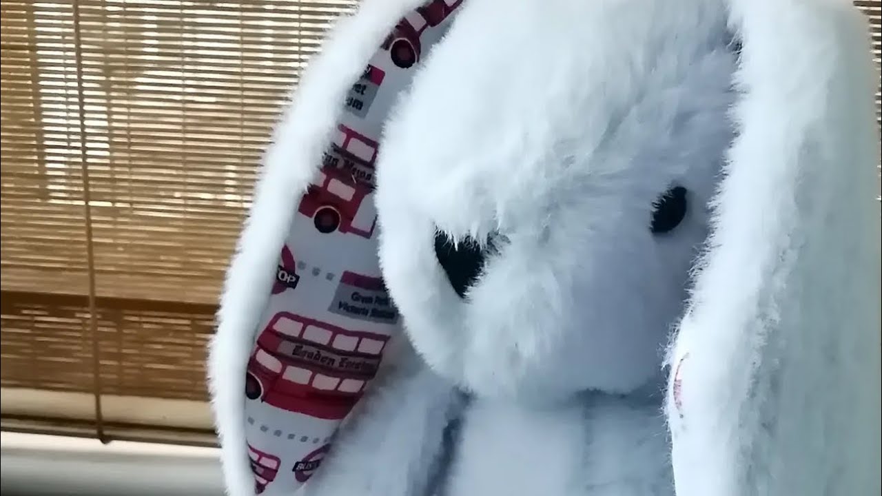 Bunny Plushie Tutorial & Easy Sewing Project even for Beginners ❤️