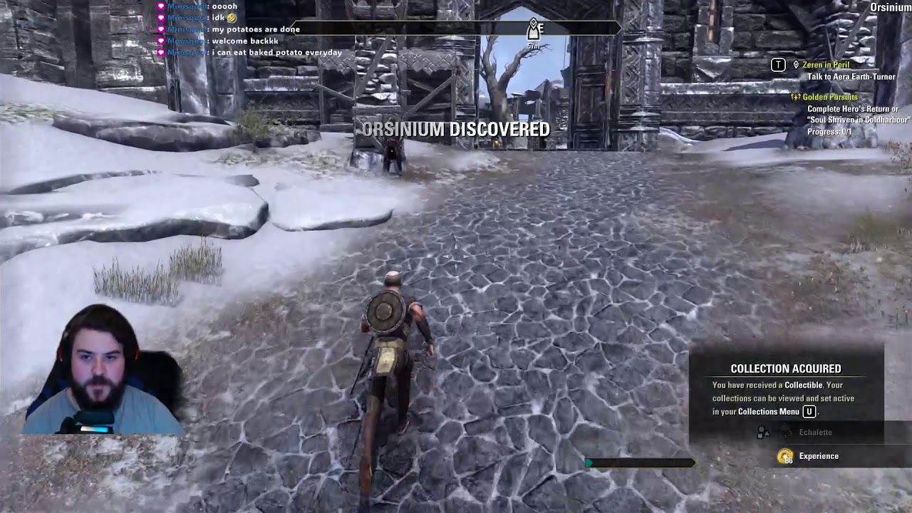 Starting New on ESO (I would say im a massive Noob so bear with me PLEASE LOL)