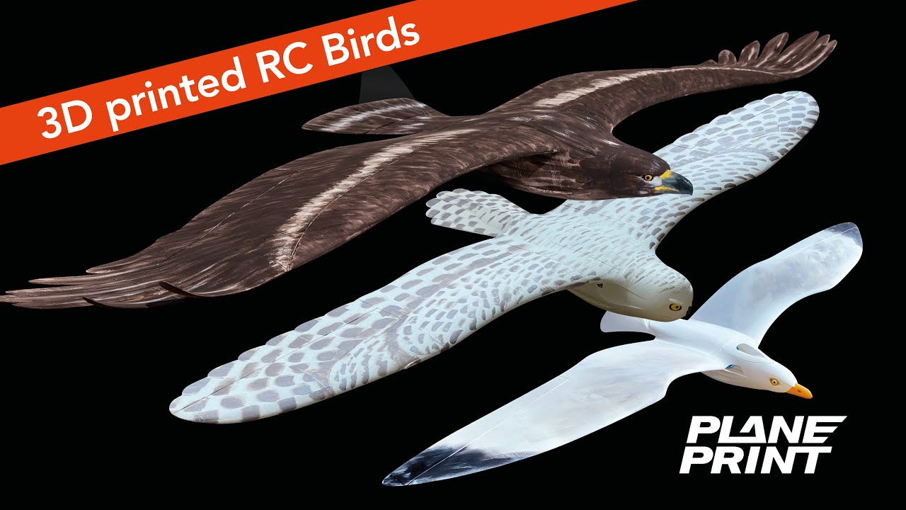 Planeprint BIRDS