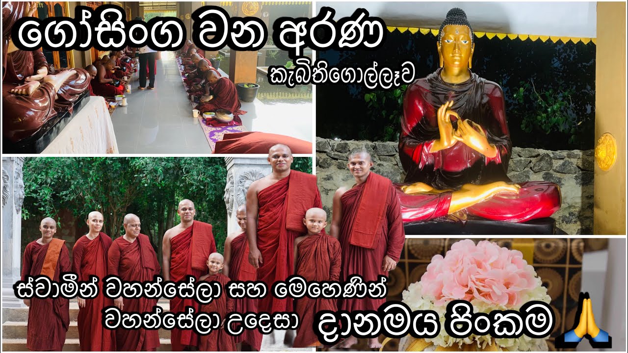 අහබු පිංකමක් 🙏 ගෝසිංග වන අරණ 🙏🙏 කැබිතිගොල්ලෑව #gosingawanaarana #lakshanibandara #pujaa