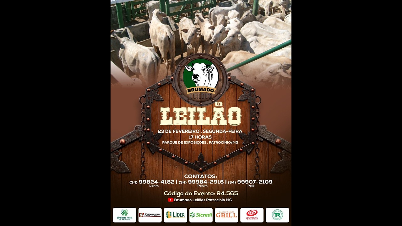 144°LEILÃO MISTO  - BRUMADO LEILÕES | PATROCÍNIO/MG - 23/02/2026