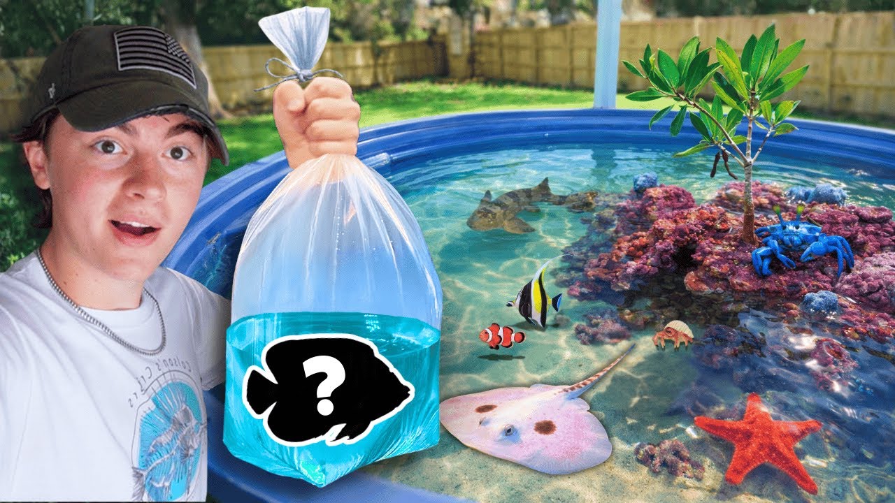 Buying a NEW Fish for My Saltwater Tide Pool!!