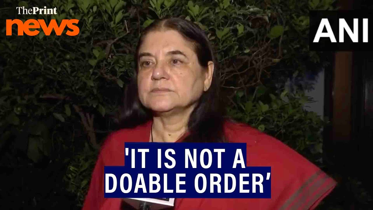 'It is not a doable order,' says BJP leader Maneka on SC order on stray dogs in Delhi-NCR