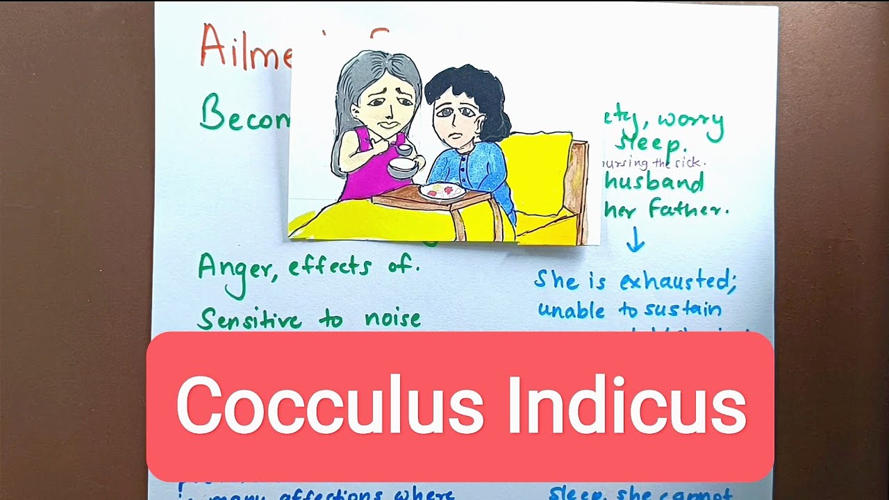 Cocculus Indicus | Part 1 | Materia Medica