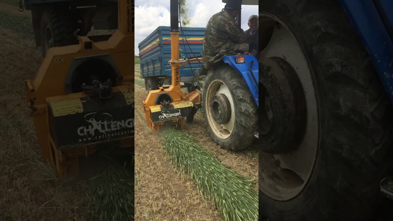 Tek Sıra Mısır Silaj Makinesi İle Tritikale Silajı Yaptık :)