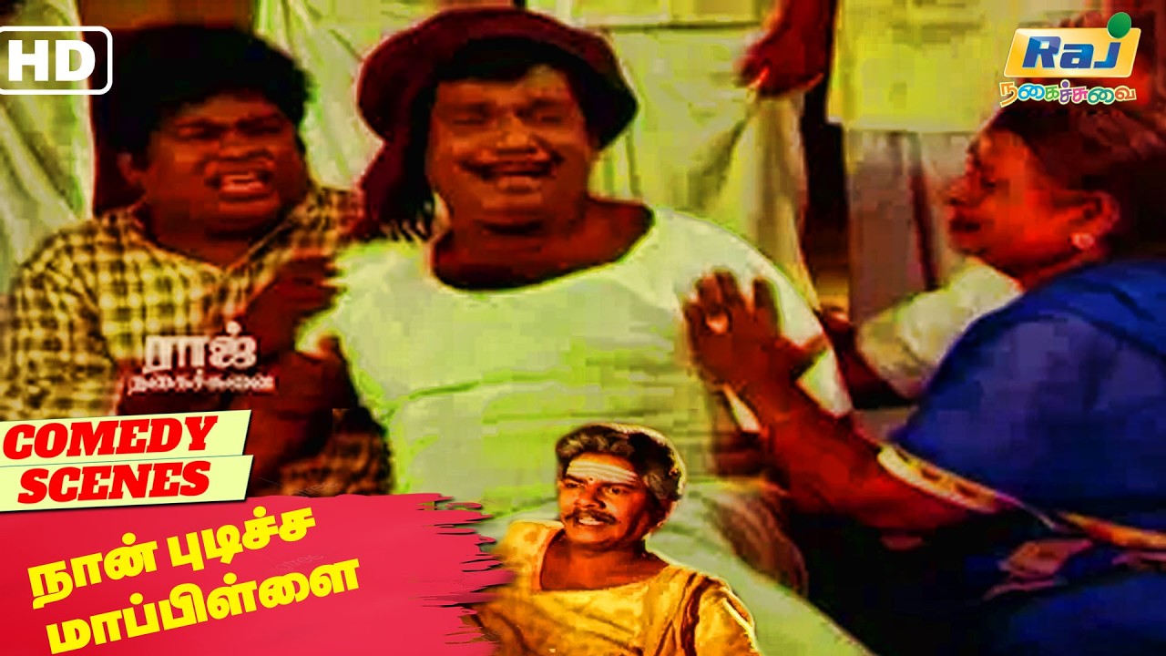 நா என்ன இந்த வீட்டு வேலைக்காரனா? | Naan Pudicha Mappillai Movie Comedy | Senthil | Raj Nagaichuvai