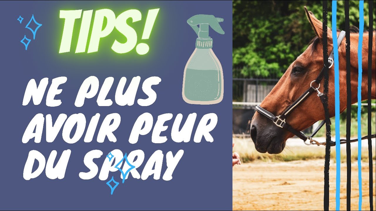 [TIPS] Mon cheval a peur du Spray, comment faire ?