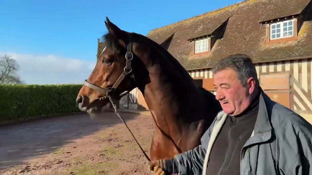 Route des Étalons 2023 : Recoletos au Haras du Petit Tellier avec Patrick Chédeville