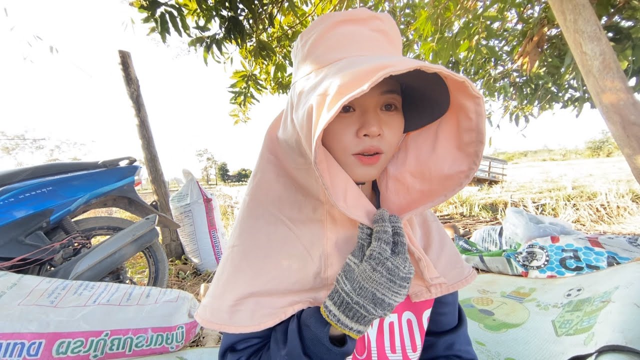 ได้เริ่มสักที 🤭 ของคนอื่นแทบจะออกหัว ส่วนบ้านเราพึ่งได้ลงดิน #ยังไงก็อย่าพึ่งปะทะกันเด้อ ขอปลูกก่อน