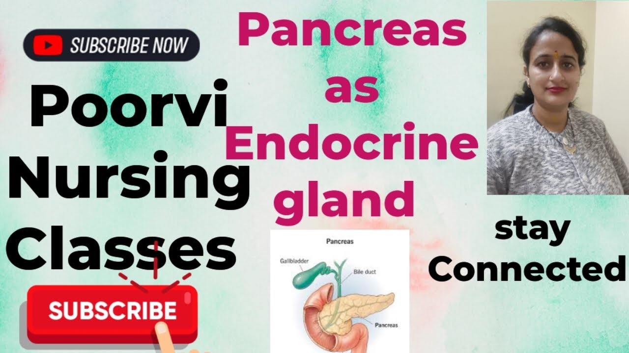 Pancreas as Endocrine Gland #viral #trending #medical #nursing #learning #youtubevideo 