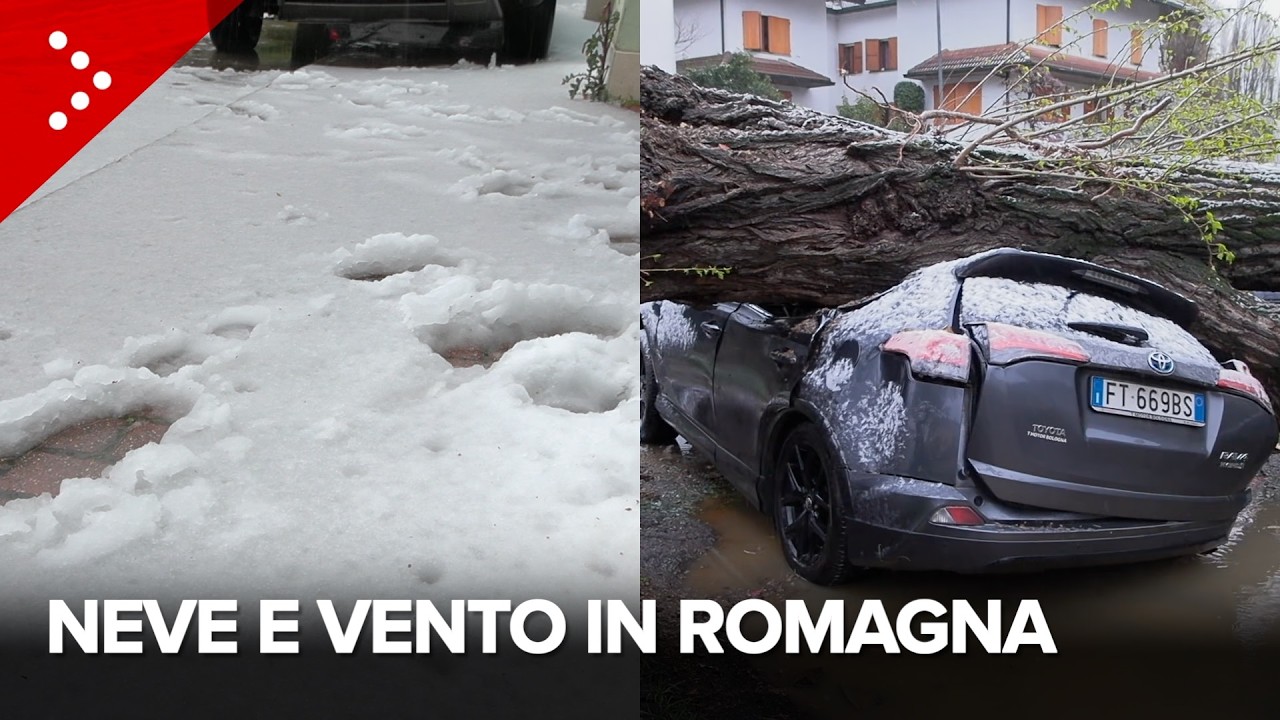 Neve e forte vento in Romagna: imbiancata la pianura ravennate, albero schiaccia auto a Faenza