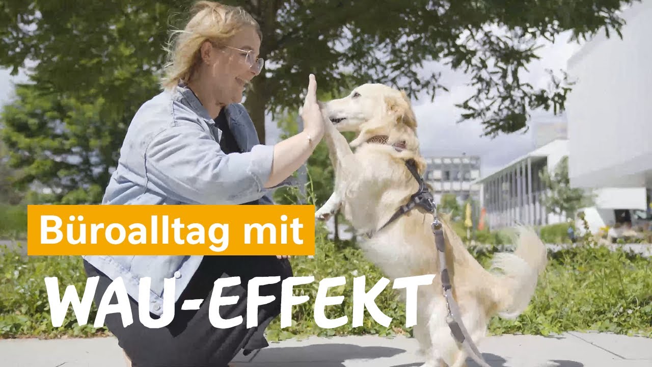 Bürohunde in Frankfurt | Der Wau-Effekt bei Nestlé