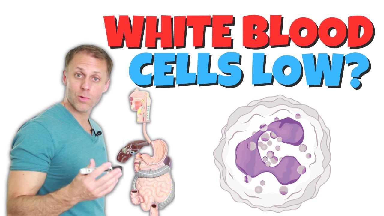 Why Are My White Blood Cells Low