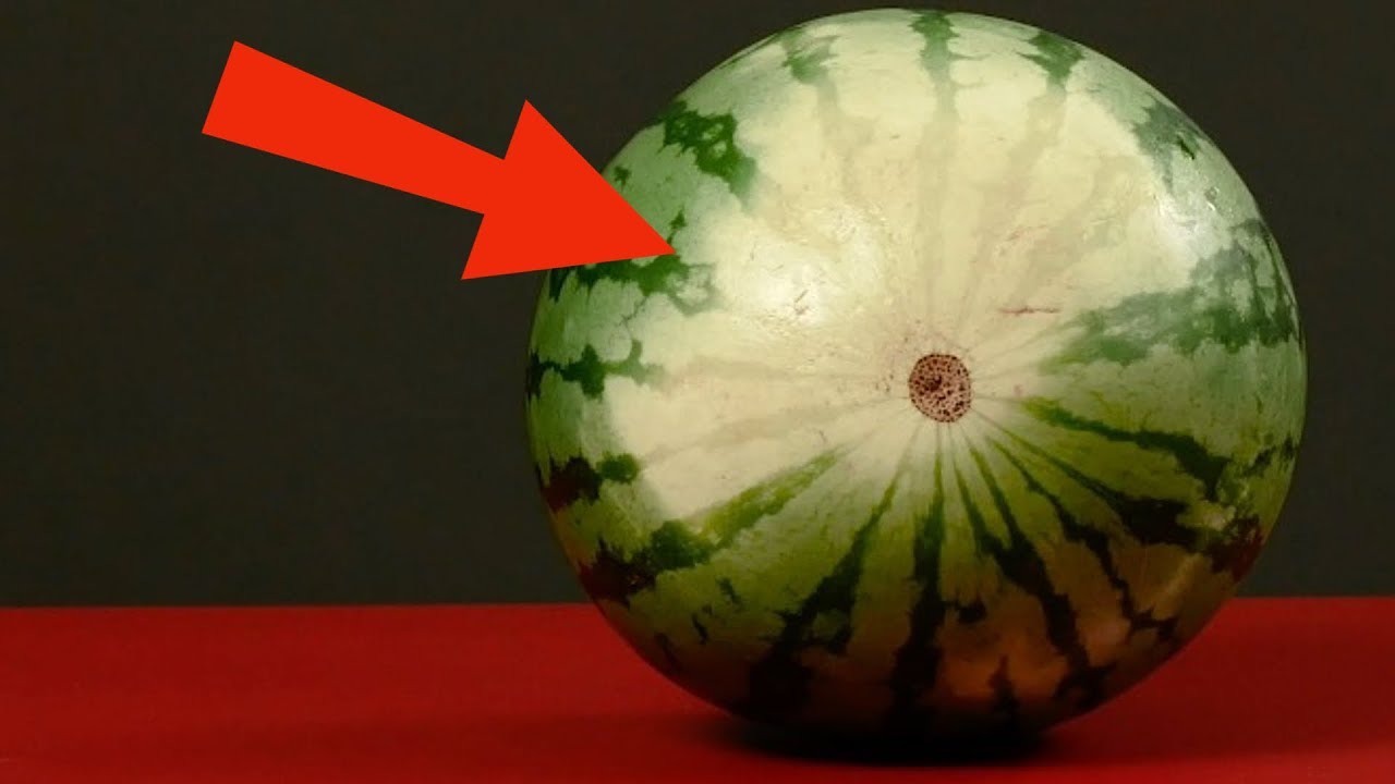 Pay Close Attention To The White Spot On The Melon &ndash; You're Going To Love This Tip!