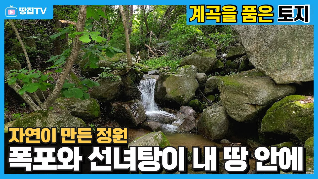 이런 땅 또 없습니다! 태기산 맑은 물이 흘러 폭포와 선녀탕을 이루는 평창 계곡 토지