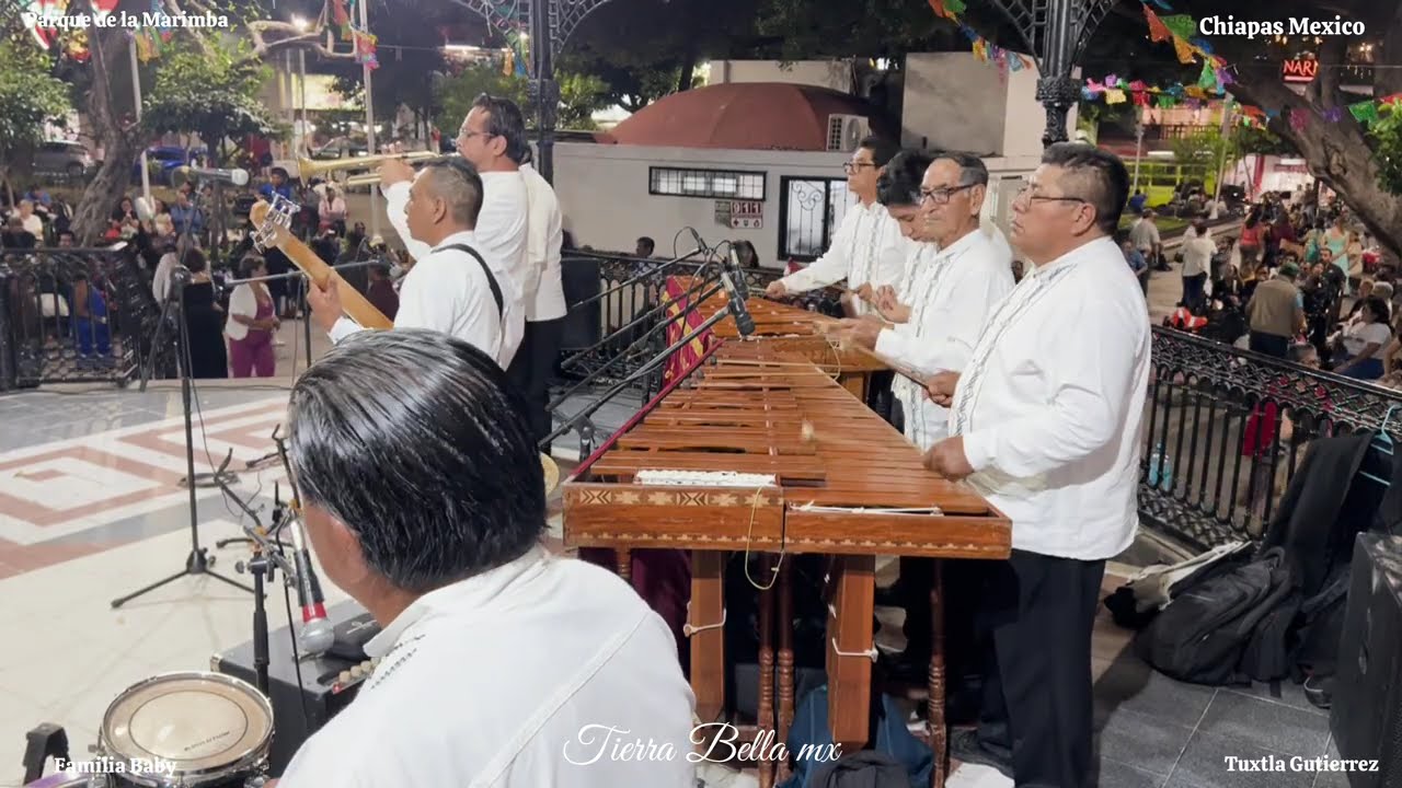 MARIMBA FAMILIA BABY PARQUE DE LA MARIMBA CHIAPAS