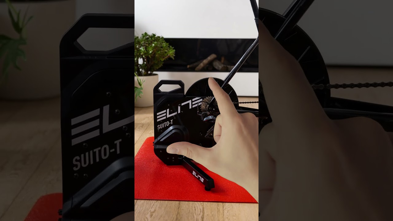 Elite Suito-T. Stay in the game