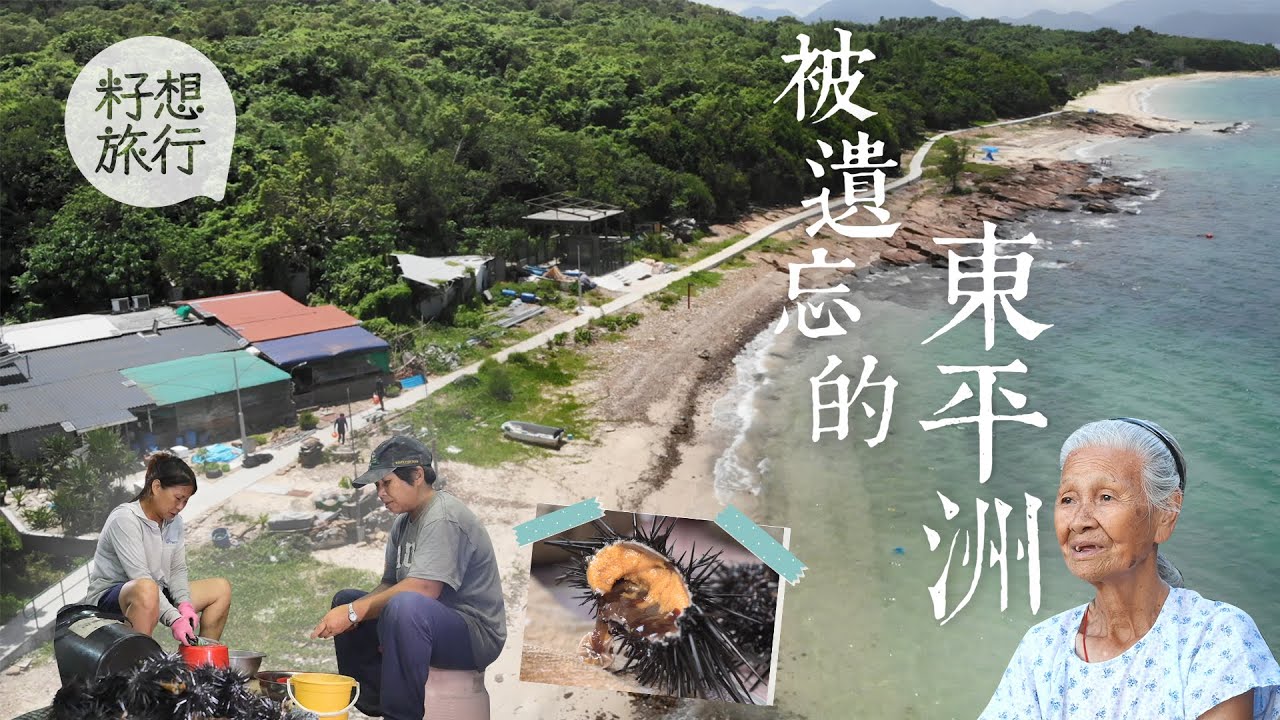 東平洲11兄弟姊妹守40年士多煮海膽粉絲 每周帶物資返島 島上訊號差靠大嗌搵人 #遊嚐假期 #籽想旅行－果籽 Appledaily