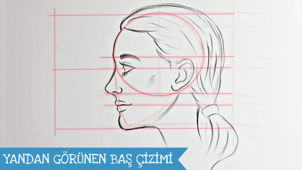 Çizim Ders 15 / Portre Profilden Görünüş