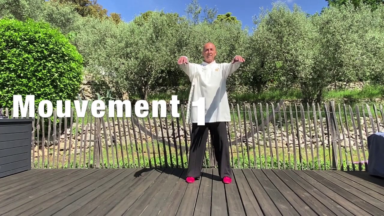 Qi Gong: les 8 pièces de soie pratique complète
