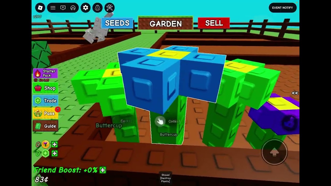 Day 2 of Secret to Grow A Garden