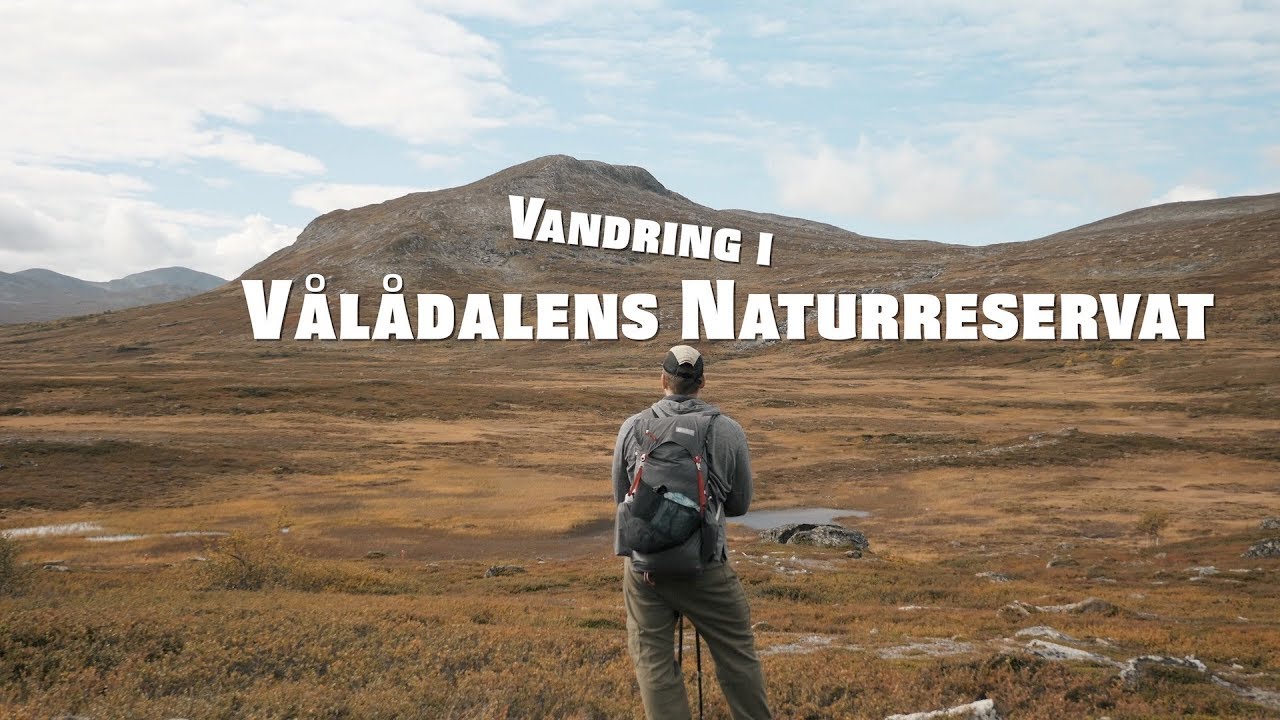 Vandring i Vålådalens Naturreservat