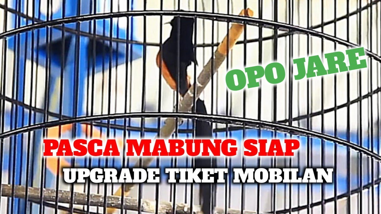 MURAI BATU OPO JARE‼️SIAP JALAN JALAN TIKET MOBILAN