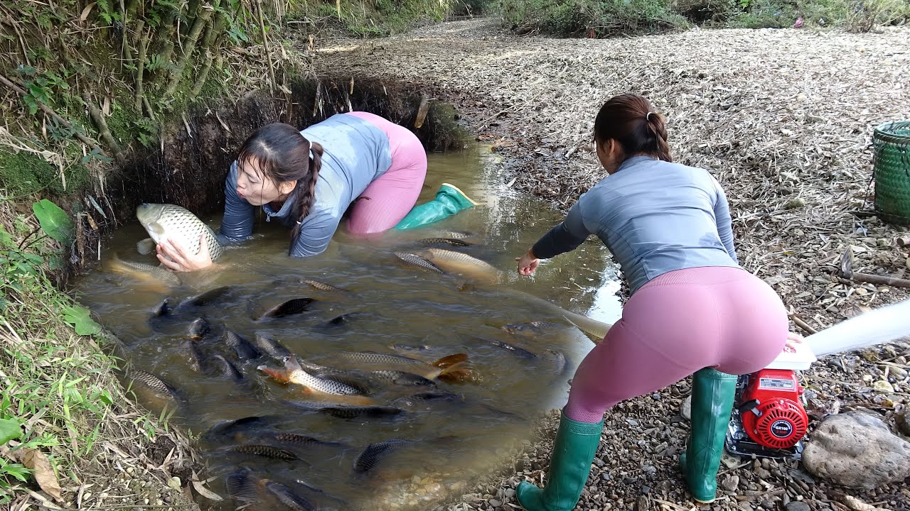 Fishing Video: The Girl's Cleverly Use With Many Different Fishing Techniques, Catch a Lot Of Fish