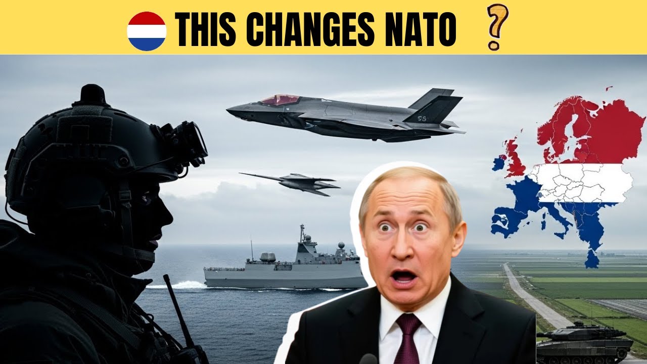 How the Netherlands Built a Military No One Expected