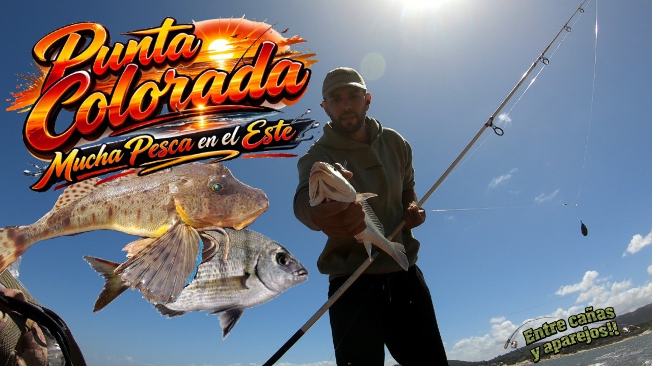 ПУНТА КОЛОРАДА‼️На Востоке один улов за другим🔥🎣//Мальдонадо, UY// @entrecanasyaparejos2396