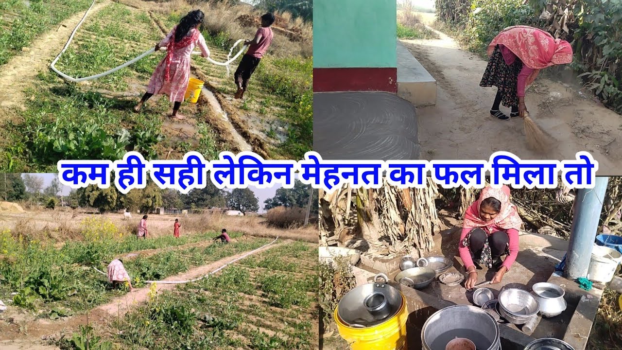 लेट ही सही लेकिन एक दिन मेहनत का फल जरूर मिलता हैं कम ही सही 