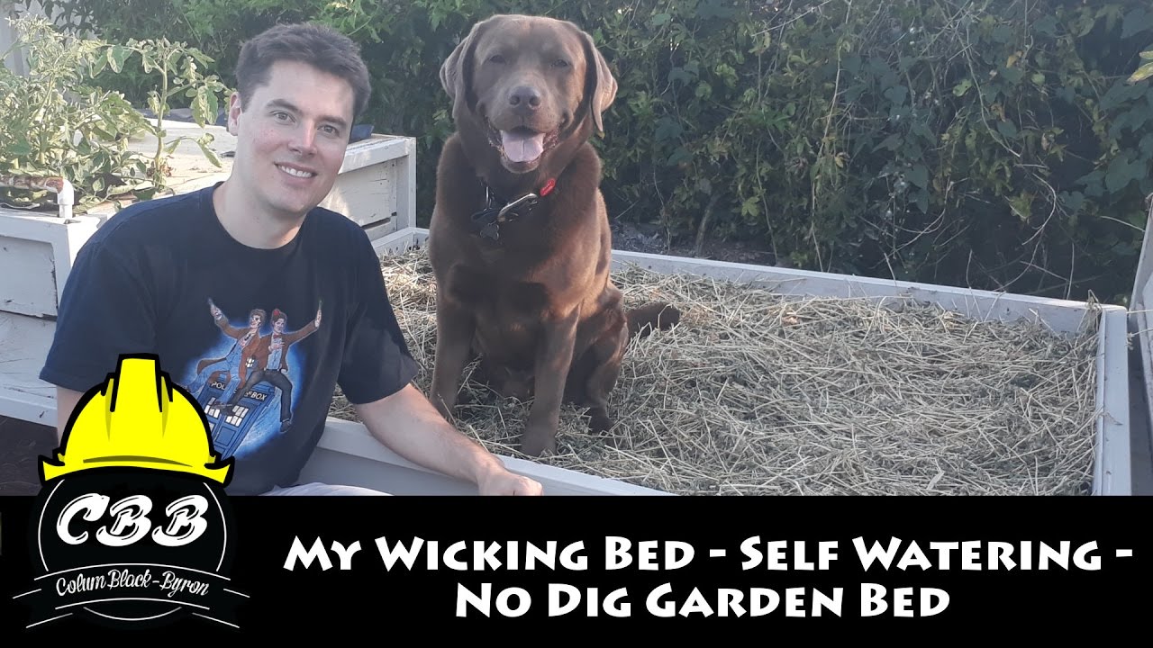 My Budget DIY Wicking Bed - A Self Watering - No Dig Garden Bed